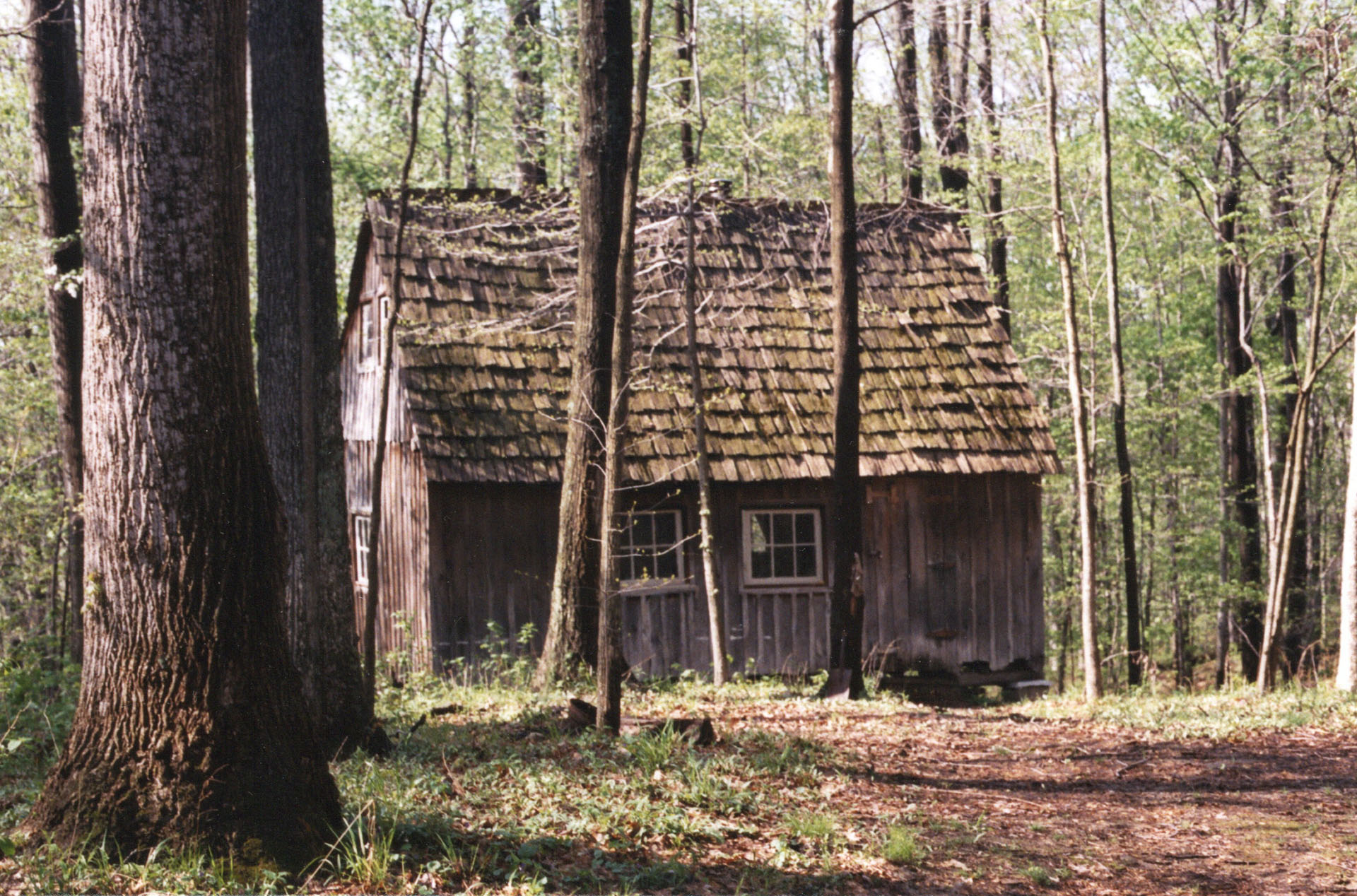800  The Cabin with Mossy Shingles